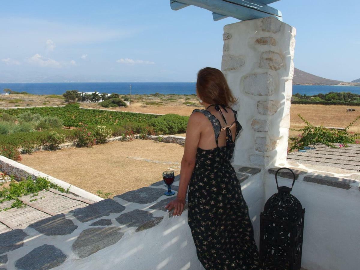 Villa Petradi Амбелас Екстериор снимка